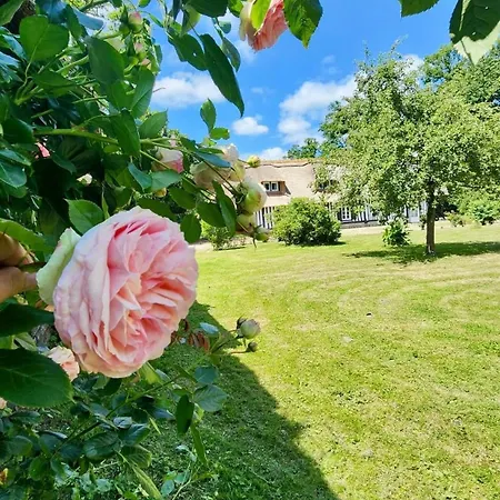 Le Clos De Leger Pleine-seve